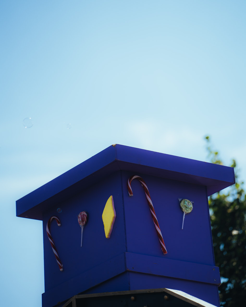 DSC01355
