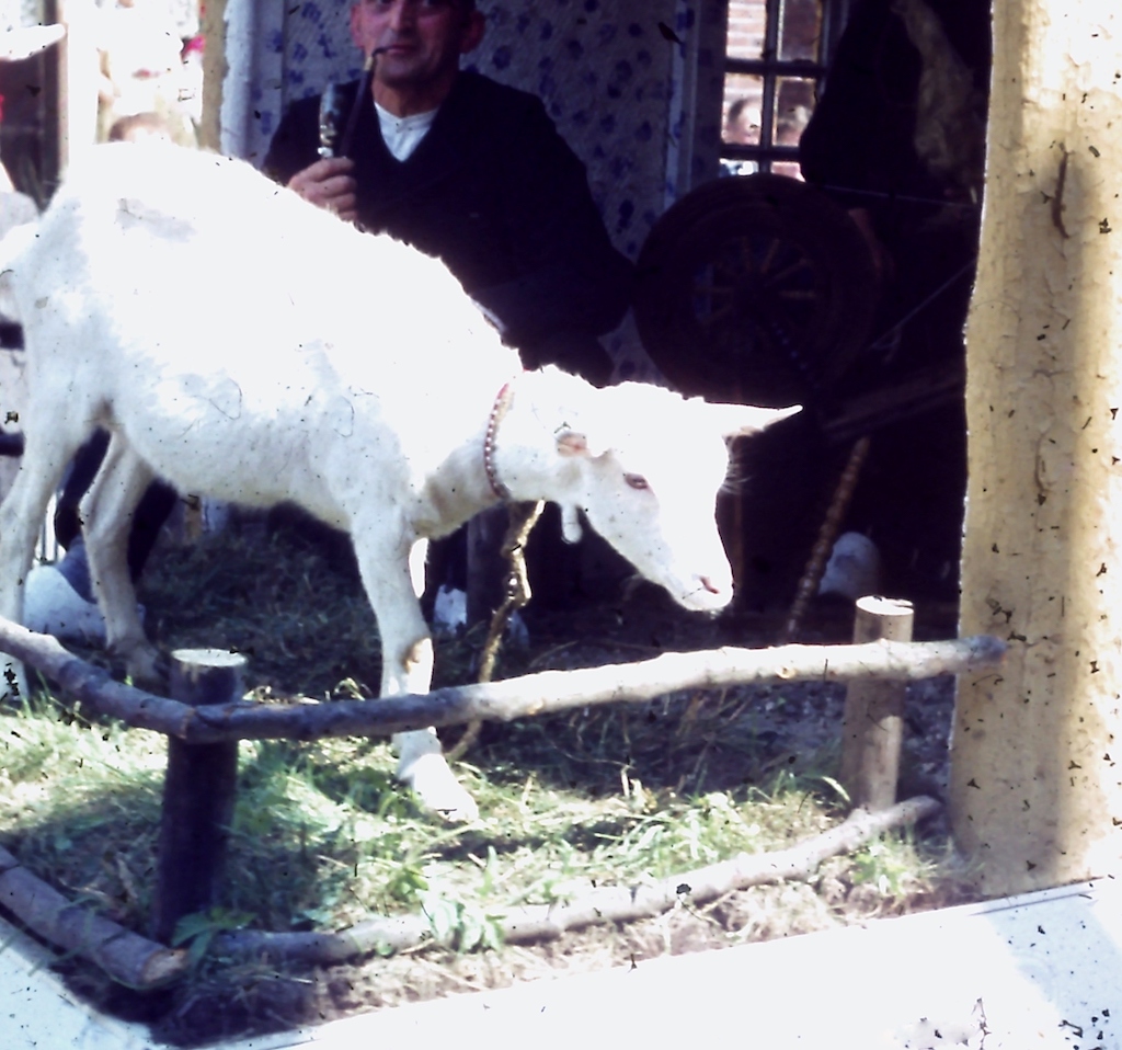 1967FOTO0060.jpg