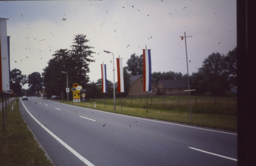 1981 •  